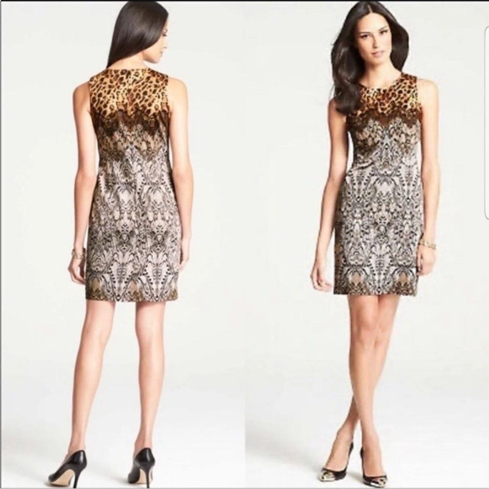 ANN TAYLOR | Animal Print Leopard & Lace Print Sheath Dress Women’s Size 2